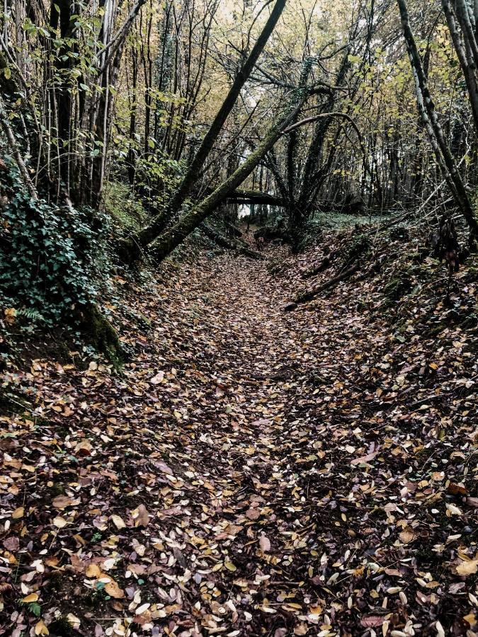 La Ferme Du Pont De Maumy, Cabane Au Bord De L'Etang Et Bain Nordique Busserolles ภายนอก รูปภาพ