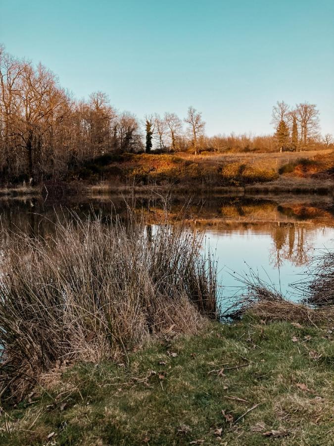 La Ferme Du Pont De Maumy, Cabane Au Bord De L'Etang Et Bain Nordique Busserolles ภายนอก รูปภาพ