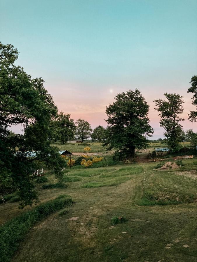 La Ferme Du Pont De Maumy, Cabane Au Bord De L'Etang Et Bain Nordique Busserolles ภายนอก รูปภาพ