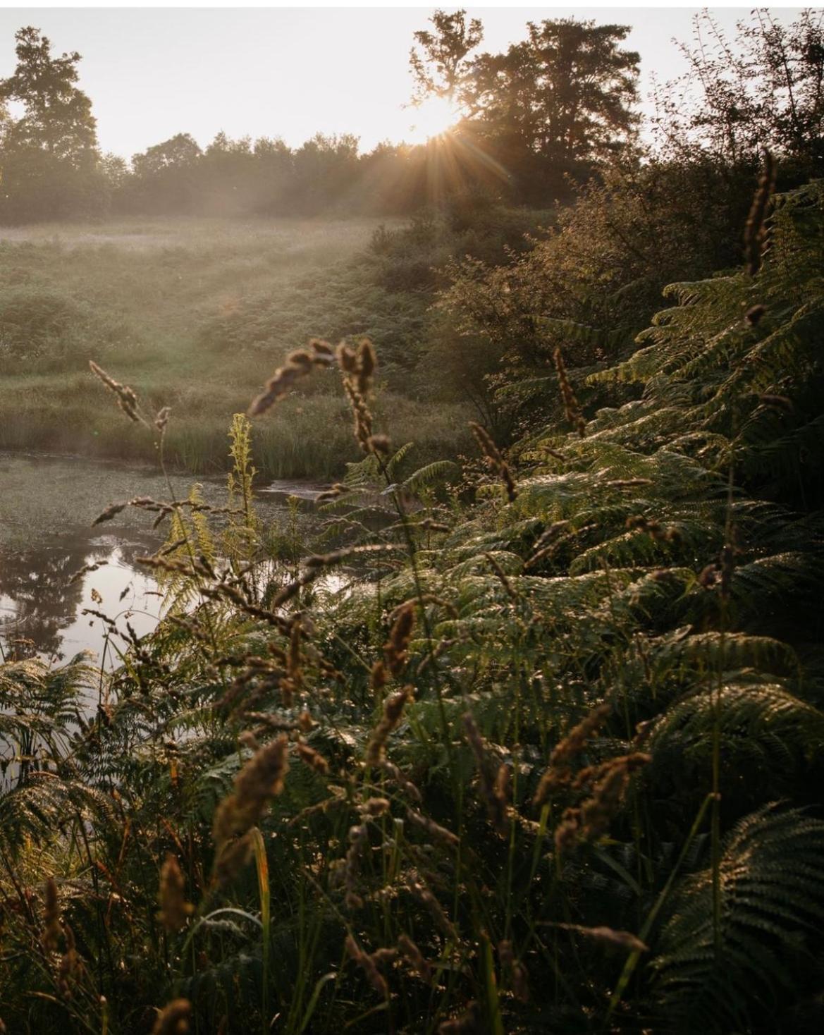 La Ferme Du Pont De Maumy, Cabane Au Bord De L'Etang Et Bain Nordique Busserolles ภายนอก รูปภาพ