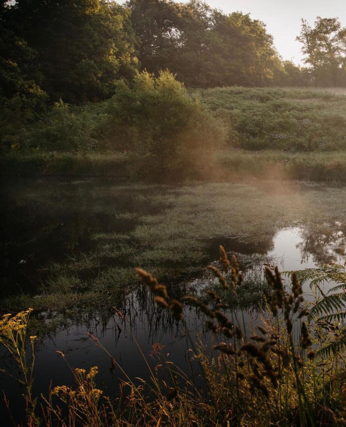 La Ferme Du Pont De Maumy, Cabane Au Bord De L'Etang Et Bain Nordique Busserolles ภายนอก รูปภาพ